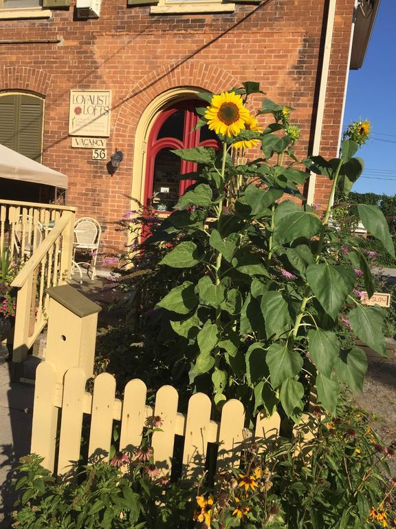 Loyalist Lofts Leilighet Picton Eksteriør bilde